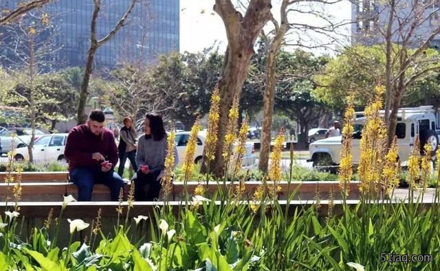 园林花境景观设计 这样的神来之笔总让人欲罢不能
