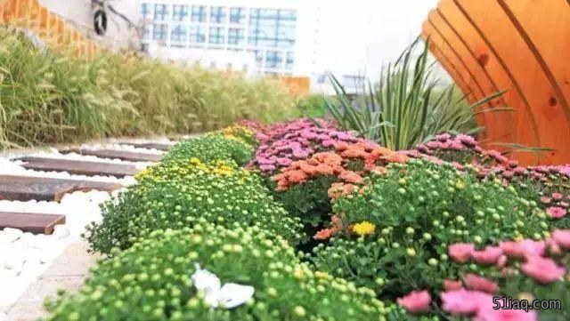 园林花境景观设计 这样的神来之笔总让人欲罢不能